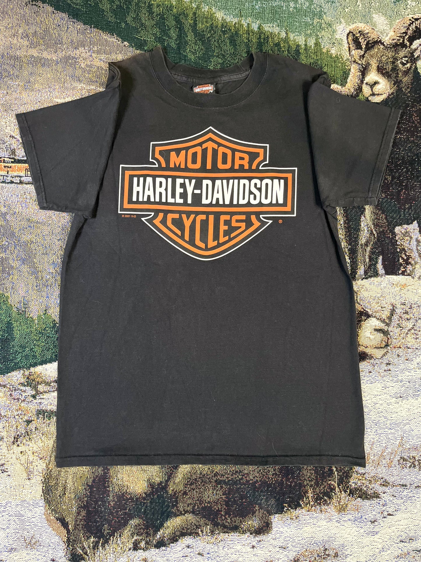 01' Harley Davidson Horny Toad T-Shirt