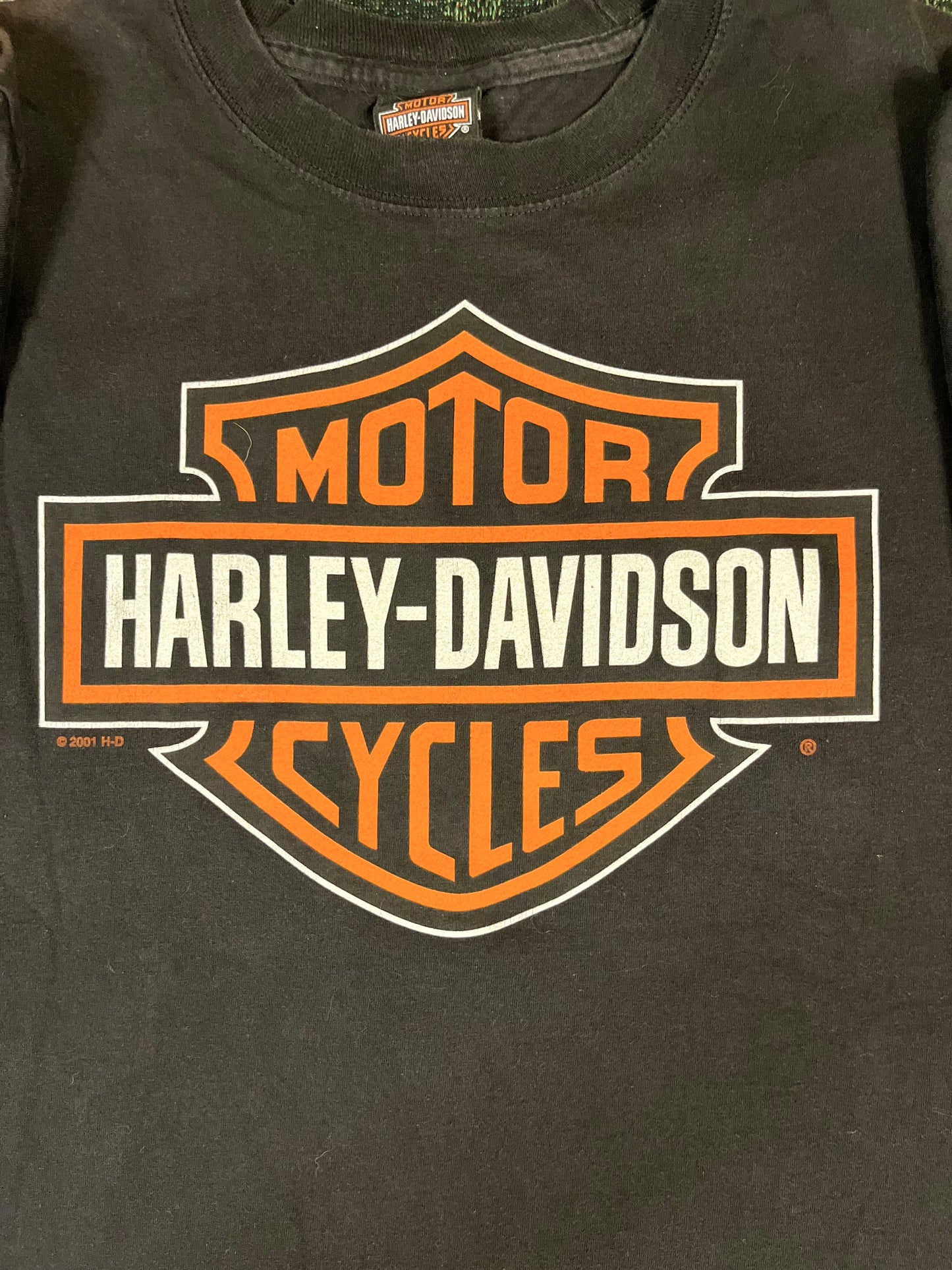 01' Harley Davidson Horny Toad T-Shirt